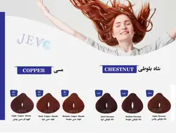 رنگ مو جوو مشکی پر کلاغی شماره 1.1 Jevo Low Ammonia - (C1)