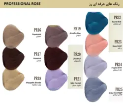 رنگ مو داماسک رز بلوند کاپوچینو تیره شماره 6.77 - Damask Rose