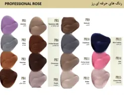 رنگ مو داماسک رز بلوند شنی تیره شماره 6.53 - Damask Rose