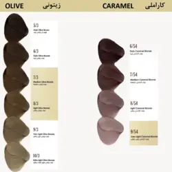 رنگ مو داماسک رز پر کلاغی شماره 1.1 - Damask Rose