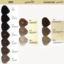 رنگ مو داماک رز ماسه ای اخرایی شماره Damask Rose - PR11