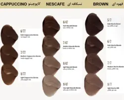 رنگ مو داماک رز ماسه ای اخرایی شماره Damask Rose - PR11