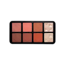 پالت رژگونه و هایلایتر کرکتر CHARACTER