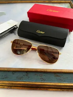 عینک آفتابی مردانه کارتیر مدل CARTIER T8200811