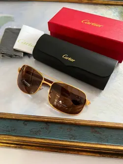 عینک آفتابی مردانه کارتیر مدل CARTIER T8200785