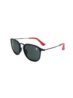 عینک آفتابی زنانه و مردانه ریبن مدل Ray Ban RB2448