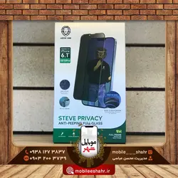 گلس استیو پرایوسی گرین مدل Glass Steve Privacy Green 13/13Pro