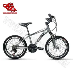 دوچرخه 20 ماکان مدل پاور طوسی