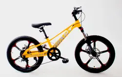 دوچرخه 20 جیانت زرد