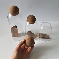 بانکه پیرکس در توپی بزرگ اولالا 7007