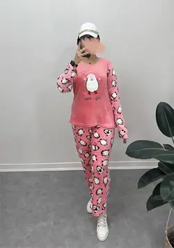 ست تدی پنگوئن