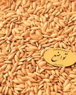 تخمه کدو دو آتشه