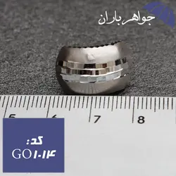 گوشواره نقره زنانه طرح جدید کد GO_1014
