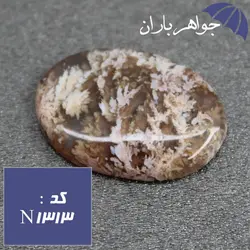 نگین عقیق شجری دریایی خوشرنگ کد N_1313