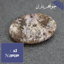 نگین عقیق شجری دریایی خوشرنگ کد N_1313