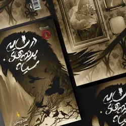 کتاب در سایه پرندگان سیاه