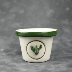 گلدان کاکتوس 🌵 - 8.5 سانتی متر