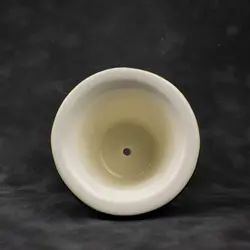 گلدان کاکتوس 🌵 - 8.5 سانتی متر