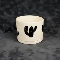 گلدان و زیر گلدانی کاکتوس 🌵 - 12 سانتی متر