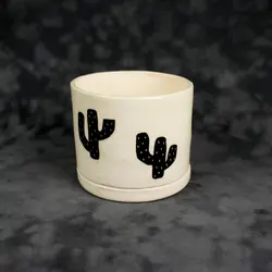 گلدان و زیر گلدانی کاکتوس 🌵 - 12 سانتی متر