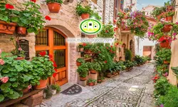 پوستردیواری سه بعدی خانه و کوچه باغ کد 5301