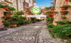 پوستردیواری کوچه باغ کد 5330