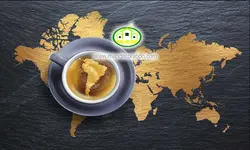 پوستردیواری نقشه جهان کد 12281