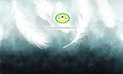 پوستردیواری سه بعدی پر کد 5240