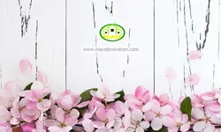 پوستردیواری گلهای صورتی کد 5272