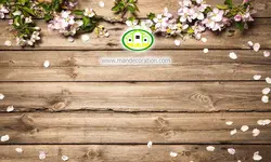 پوستردیواری گلهای صورتی زمینه چوب قهوه ای کد 5273