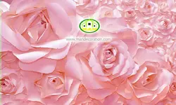 پوستردیواری گلهای کاغذی صورتی کد 12605