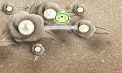پوستردیواری گل ماسه ای سه بعدی کد v12240