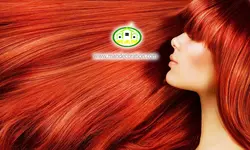 پوستردیواری چهره کد 12222