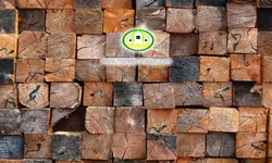 پوستردیواری سه بعدی تنه چوب کد 12176