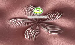 پوستردیواری سه بعدی چرمی کد 12302