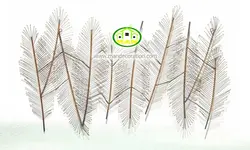 پوستردیواری سه بعدی پر کد 12141