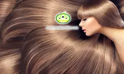 پوستردیواری چهره کد 12227