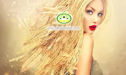 پوستردیواری چهره کد 12231