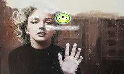 پوستردیواری چهره کد 12247