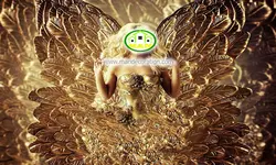 پوستردیواری چهره کد 12265