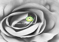 پوستردیواری گل کد 13259