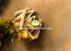 پوستردیواری گل کد 13361