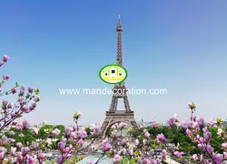 پوستردیواری شهر 13305