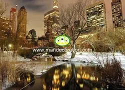 پوستردیواری شهر 13343