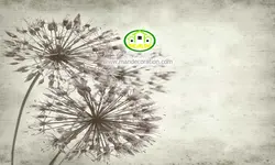 پوستردیواری نقاشی دیواری  کد v12071