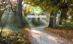 پوستردیواری طبیعت درختان پاییزی کد 5312