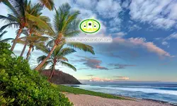 پوستردیواری طبیعت جنگل پاییزی کد 12525