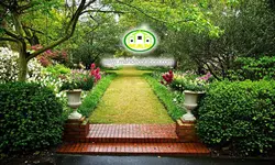 پوستردیواری جنگل باغ کد 12527