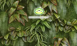 پوستردیواری طبیعت برگ درختان سبز کد 5327