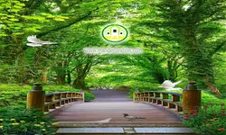 پوستردیواری طبیعت پل در جنگل کد 5331